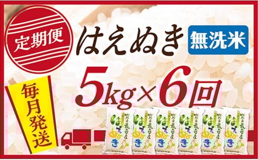 【定期便】【無洗米】令和7年産 山形県産 はえぬき 5kg (5kg×1)  6回配送　【初回R8年1月発送】 1522999 - 山形県最上町