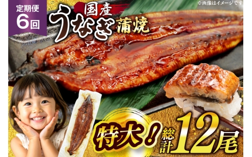 うなぎ 国産 定期便 鰻 蒲焼 特大 約200g 2尾 計400g以上 6回 総計約2.4kg 小分け 【有頭】[大黒物産 福岡県 宇美町 um40bak830019] タレ 山椒付 茶葉蒸し ウナギ 不揃い 規格外 鹿児島 宮崎 うなぎ蒲焼 鰻蒲焼き 蒲焼き かば焼き 真空パック 個包装 冷凍 unagi