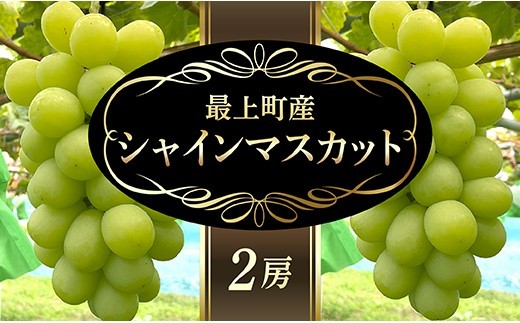 [予約返礼品]最上町産[シャインマスカット]2房