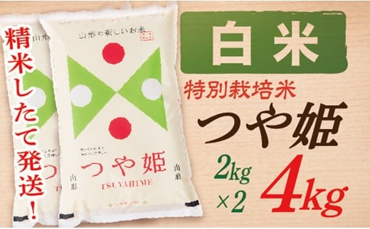 【令和7年産】【白米】山形県産つや姫4kg(2kg×2袋)