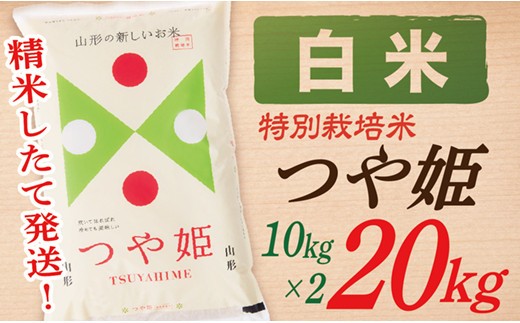 【令和7年産】【白米】山形県産つや姫20kg(10kg×2袋)