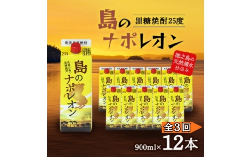 ＜毎月定期便＞奄美黒糖焼酎 島のナポレオン 900ml 紙パック 12本セット全3回【4074150】