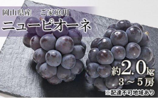 ぶどう 2026年 先行予約 ご家庭用 ニューピオーネ 約2.0kg(3〜5房)(クール便)