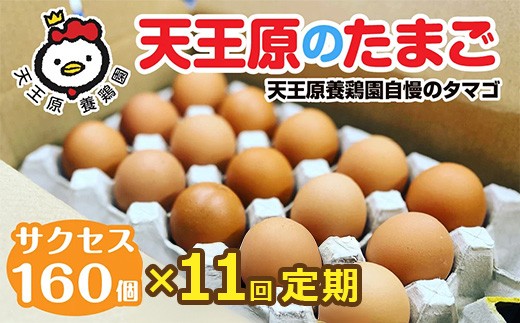 【定期便】11回定期 【天王原のたまご】 サクセス卵160個入り【定期便 11回定期便 セット たまご 卵 玉子 タマゴ 濃厚  ハリ 弾力 ボリューム 甘味 旨味 卵黄 風味 生 コク 甘味 卵かけご飯 卵焼き 目玉焼き オムレツ 茶碗蒸し お菓子作り パンの材料】