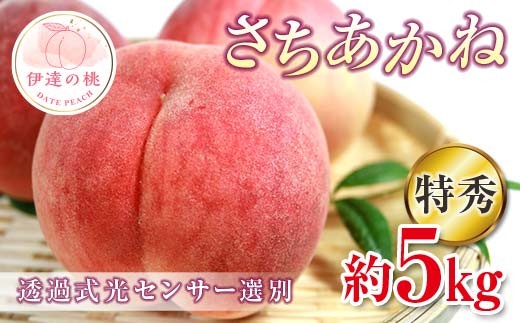 【2026年出荷分先行予約】福島県産 特秀 さちあかね 約5kg (15～18玉) ふくしま未来農業協同組合 特秀 透過式光センサー選別 糖度12度以上 固め 伊達の桃 桃 フルーツ 果物 もも モモ momo F20C-779 1122839 - 福島県伊達市
