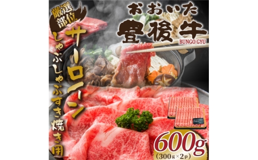 ＜毎月定期便＞厳選部位おおいた豊後牛サーロインしゃぶすき焼き用600g 300g×2(日出町)全3回【4074193】