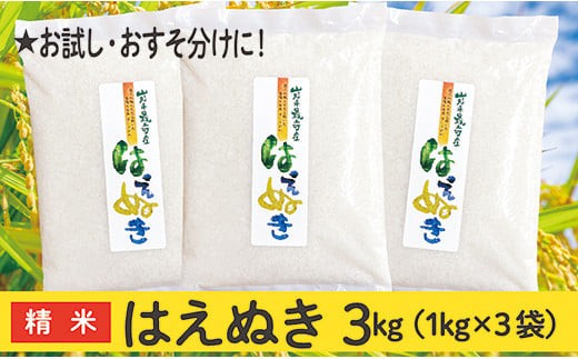 令和6年産 山形県産 はえぬき 3kg