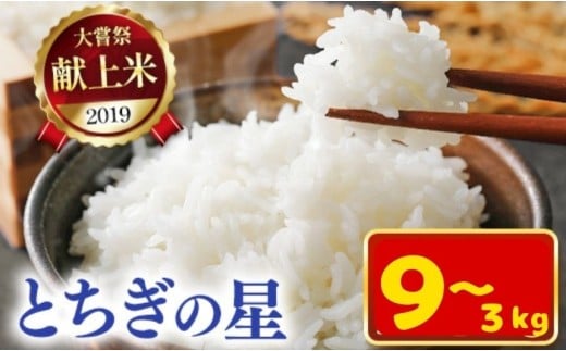 令和7年新米 石井米(とちぎの星)選べる内容量 3~9kg | 3kg 4.5kg 9kg ふるさと納税 とちぎの星 那珂川町産 美味しい お弁当 おにぎり おいしい 数量限定 ご飯 送料無料 栃木県 那珂川町
