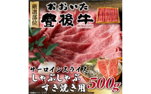 ＜毎月定期便＞＜厳選部位＞おおいた豊後牛サーロインしゃぶしゃぶすき焼き用 500g(日出町)全3回【4074191】