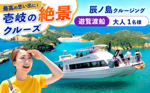 辰ノ島クルージング(辰ノ島遊覧渡船)大人1名様分《壱岐市》【勝本町漁業協同組合】 [JFN003]