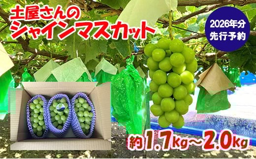 【2026年発送分 先行予約】土屋さんのシャインマスカット(1.7~2.0kg 3~4房) シャイン マスカット 富士川町産 産地直送 フルーツ 果物 くだもの ブドウ ぶどう 葡萄 やまなし 山梨 先行受付 令和8年 937539 - 山梨県富士川町