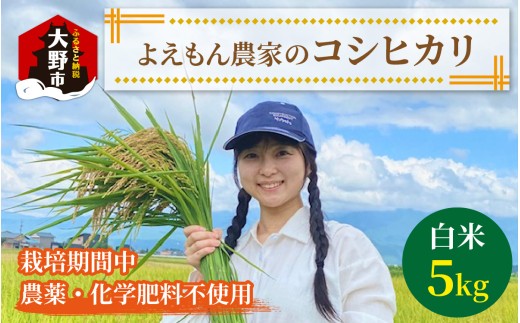 【先行予約】【令和7年産 新米】よえもん農家の白米 ×5kg【栽培期間中農薬・化学肥料不使用】 1303167 - 福井県大野市