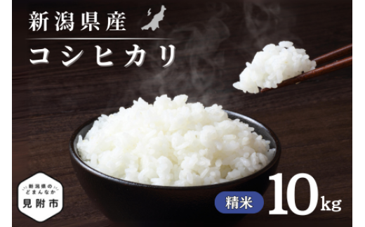令和7年産 新潟県産 コシヒカリ 10kg 精米 新米 お米 白米 コシヒカリ こしひかり おすすめ 人気 こめ コメ 新潟 見附 見附市 7年 2025年産 ふるさと納税 諸長 1417642 - 新潟県見附市