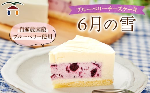 ブルーベリーチーズケーキ　6月の雪【1082307】