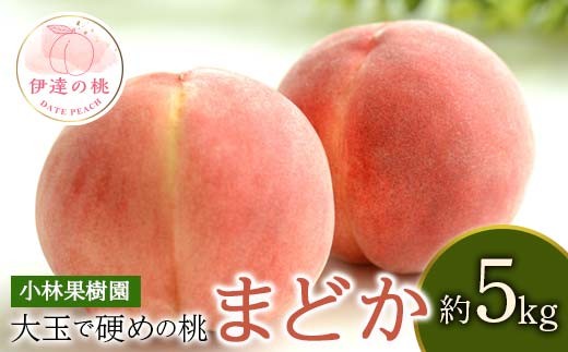 【2026年出荷分先行予約】福島県産 まどか 約5kg (14~20玉) 小林果樹園 大玉 固め 伊達の桃 桃 フルーツ 果物 もも モモ momo F20C-592 307701 - 福島県伊達市