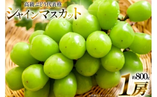 【期間限定発送】 シャインマスカット 1房 約800g [安達敏幸 山形県 高畠町 tk06ays830002] 箱詰め フルーツ 果物 くだもの ぶどう ブドウ 葡萄 甘い