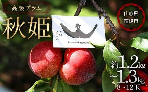 【令和8年産先行予約】 高級プラム ｢秋姫｣ 約1.2～1.3kg (8～12玉) 《令和8年9月～発送》 『最上園』 山形県 南陽市 [685-R8]
