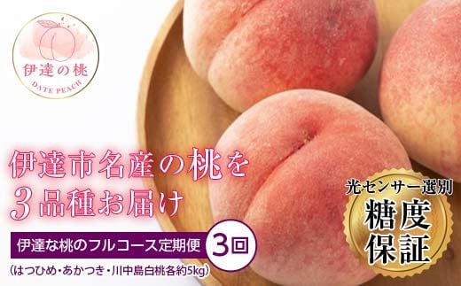 【2026年出荷分先行予約】福島県産 伊達な桃のフルコース定期便 全3回 ふくしま未来農業協同組合 はつひめ あかつき 川中島白桃 各約5kg 特秀 白桃 伊達の桃 桃 フルーツ 果物 もも モモ momo F20C-287