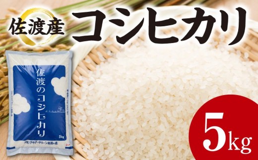 【令和7年産】佐渡産コシヒカリ　5kg 2287177 - 新潟県佐渡市
