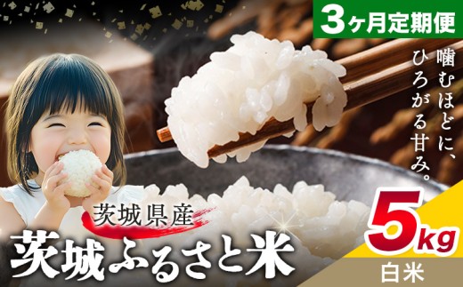米 茨城 ふるさと米 白米 5kg 5kg×1袋 3回お届け 定期便《お申し込み月の翌々月から出荷開始》茨城県 結城市 米 国産 お米 おこめ お弁当 おにぎり【茨城県共通返礼品】 2271800 - 茨城県結城市