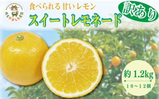 【2025年10月順次発送】 訳あり スイートレモネード 1.2kg (10～12個)  レモン れもん 檸檬 柑橘 フルーツ 果物 完熟 国産 ノーワックス 農家直送 新鮮 果汁 レモンサワー お酒 ハイボール レモネード ジュース 酎ハイ ケーキ 揚げ物 唐揚げ 小松島 徳島