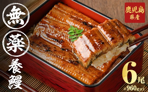 【無薬養鰻】 鹿児島産 山田のうなぎ ＜計960g以上＞ (160g以上×6尾) うなぎ 鰻 ウナギ 無薬 養鰻 無投薬 6尾 国産 九州産 蒲焼き かばやき 冷凍 うな重 ひつまぶし タレ 山椒 c2-014