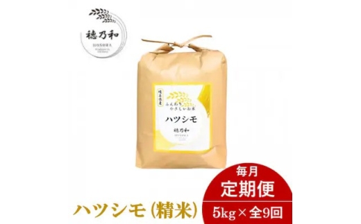 ＜発送月固定定期便＞＜先行予約＞岐阜県産ハツシモ(精米)5kg全9回【4073942】 2286815 - 岐阜県羽島市