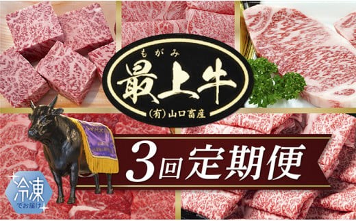  【冷凍】【3回配送で全5種】特選最上牛3回定期便