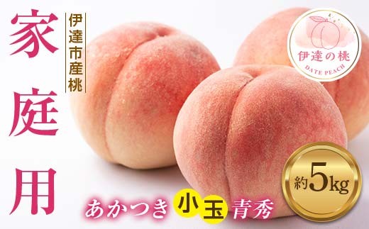 [2026年出荷分先行予約]福島県産 家庭用 青秀 あかつき 約5kg (20〜22玉) ふくしま未来農業協同組合 青秀 小玉 不揃い 伊達の桃 桃 フルーツ 果物 もも モモ momo F20C-585