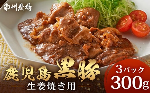 鹿児島県産 黒豚生姜焼きセット 100g×3パック 味付き肉 冷凍 NS-21 | 鹿児島 黒豚 かごしま黒豚 お肉 肉 豚肉 しょうが焼き 焼くだけ 味付き おかず お弁当 加工肉 真空パック 鹿児島県 南大隅町 南州農場
