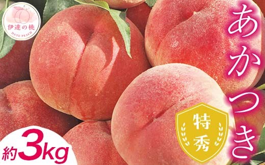 ももカテゴリランキング3位獲得![2026年出荷分先行予約]福島県産 あかつき 約3kg (9〜12玉) ふくしま未来農業協同組合 特秀 透過式光センサー選別 糖度12度以上 伊達の桃 桃 フルーツ 果物 もも モモ momo F20C-278