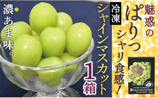 ONM　瞬間冷凍シャインマスカット1箱