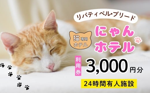 【長野県飯山市】にゃんほてる（猫専用ペットホテル） リベティベル 利用券3,000円分（T-17）