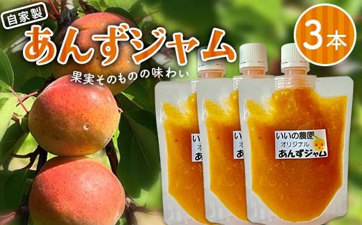 妙義山の麓 自家製あんずジャム、3本セット F21E-424