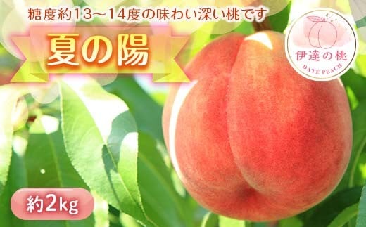 [2026年出荷分先行予約]福島県産 夏の陽 約2kg (7〜9玉) 高橋もも園 中玉 柔らかめ 伊達の桃 桃 フルーツ 果物 もも モモ momo F20C-454