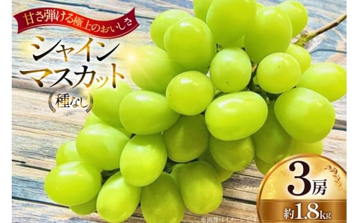 【期間限定発送】 シャインマスカット 3房 約1.8kg [Ｈinataぶどう園 山形県 高畠町 tk06ayt190012] フルーツ 果物 くだもの ぶどう ブドウ 葡萄 種なし 1.2キロ 甘い 1565229 - 山形県高畠町