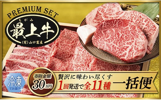  【冷凍】【1回配送で全11種】特選最上牛を一括でお届け