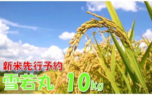 【令和７年産米 先行予約】雪若丸10kg　高橋
