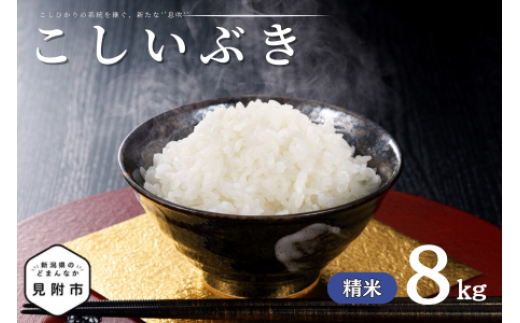 令和7年産 新潟県産 こしいぶき 8kg 精米 新米 お米 白米 コシヒカリ こしひかり おすすめ 人気 こめ コメ 新潟 見附 見附市 7年 2025年産 ふるさと納税 諸長 1417646 - 新潟県見附市