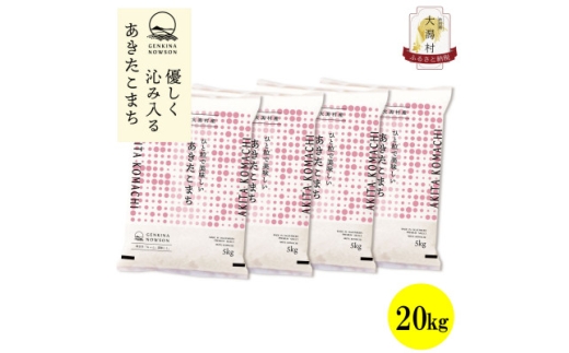 ＜毎月定期便＞秋田県産あきたこまち白米20kg(5kg×4)全6回【4072907】 2288862 - 秋田県大潟村