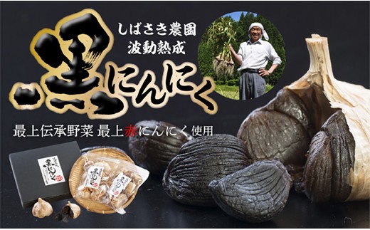 SB波動熟成黒にんにくAセット
