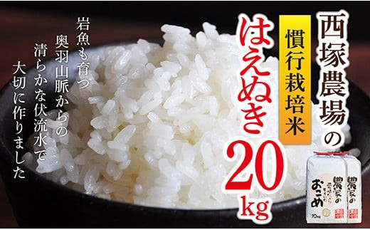 【令和7年産予約】慣行栽培米 はえぬき 白米 20kg(10kg×2袋)	