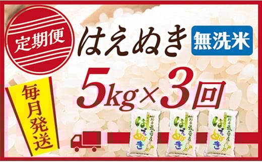 【定期便】【無洗米】 令和7年産 山形県産 はえぬき 5kg (5kg×1)  3回配送 1523003 - 山形県最上町