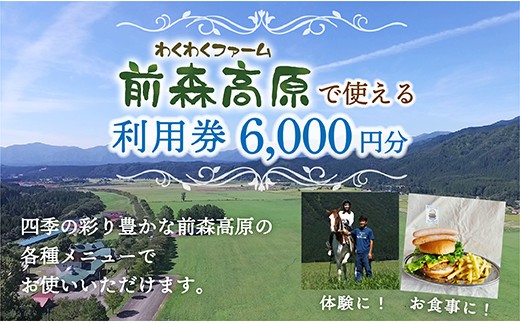 MG前森高原 利用券 6000円分
