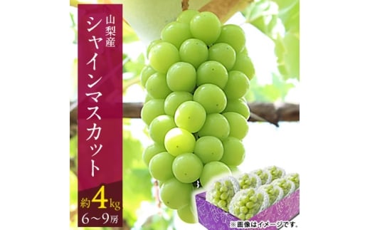 ＜2026年発送 先行受付＞山梨市 沢山食べられるシャインマスカット(約4kg)6～9房入り【1484819】