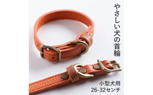 首輪 本革 イタリアンレザー オレンジ 小型犬用 (26-32センチ)ペット用品＜dc-01ss＞【1663106】