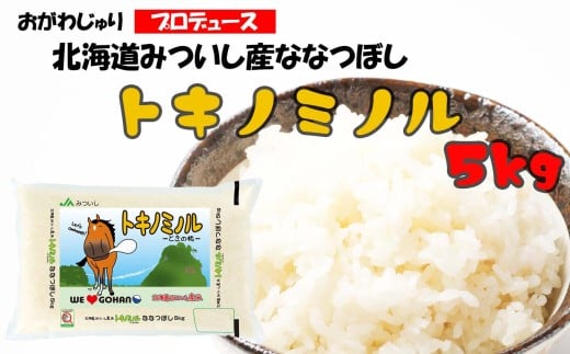 北海道産 ななつぼし トキノミノル 白米 5kg お米 米 ななつぼし