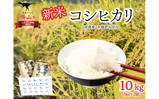 [C-096001]【2025年産新米】福井県勝山のおいしいコシヒカリ10kg