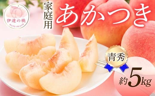 [2026年出荷分先行予約]福島県産 家庭用 青秀 あかつき 約5kg (15〜18玉) ふくしま未来農業協同組合 青秀 光センサー選別 不揃い 伊達の桃 桃 フルーツ 果物 もも モモ momo F20C-277