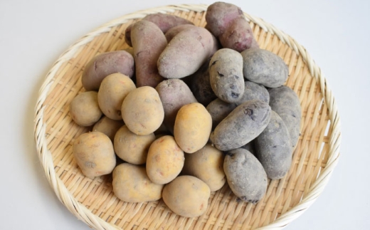 【先行予約：2026年6月頃より順次発送】和らぎ農法 春じゃが便 5kg （栽培期間中、農薬・化学肥料・動物性堆肥不使用）/じゃがいも 食べ比べ 新鮮 野菜 詰め合わせ 3種 / 滋賀県 栗東市 / ワダケン リアルソイルハウス [BIBM017]